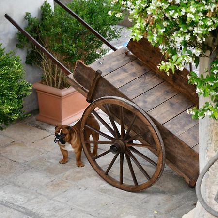 Dimora Duchessina Suites De Charme Minervino di Lecce Luaran gambar